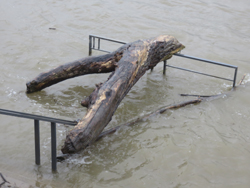 16-06-25_GaC_IMG_123302